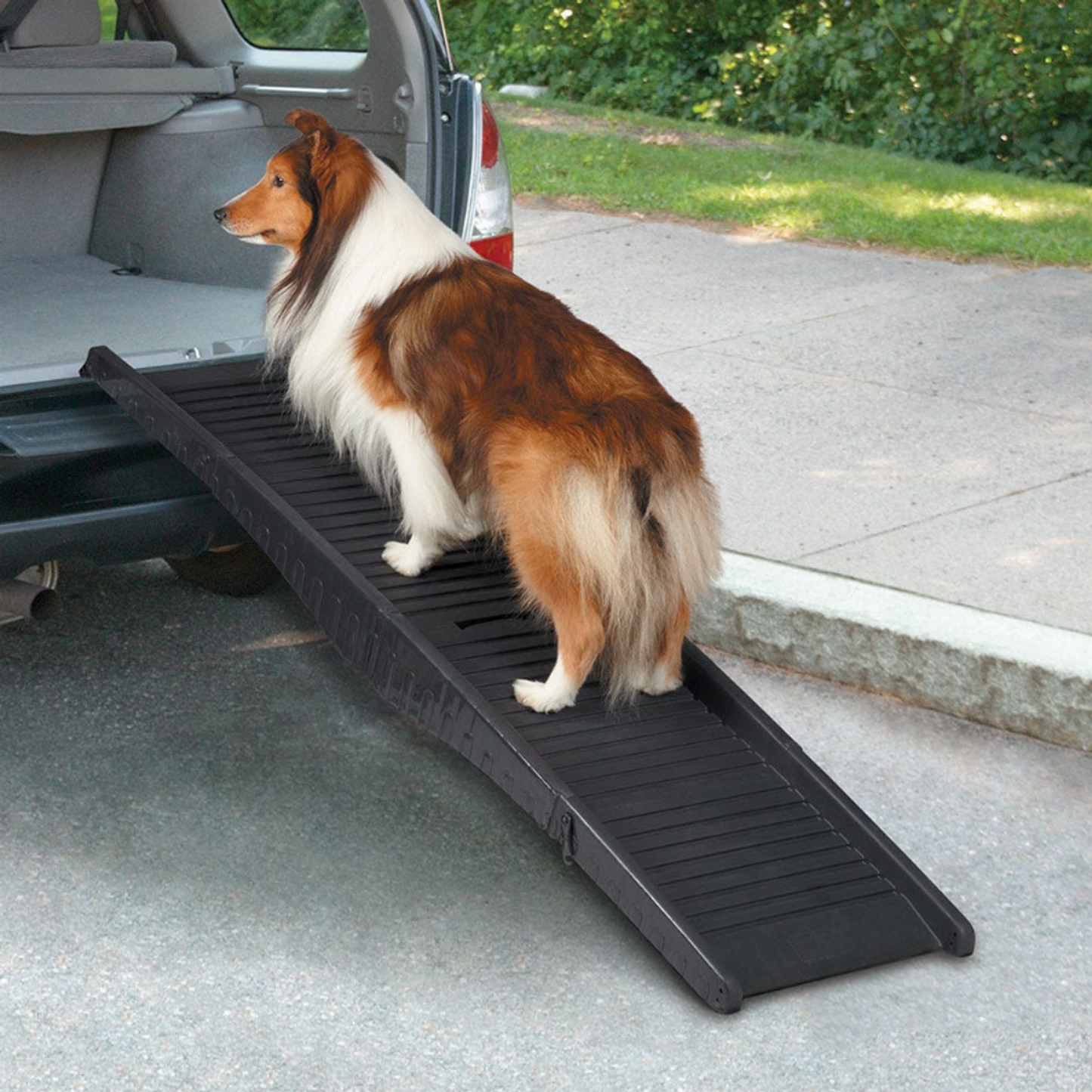 CR Tri-Fold Vehicle Pet Ramp Blk