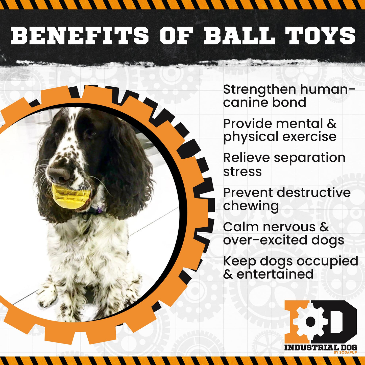 ID Ball - Ultra-Durable Rubber Chew Ball